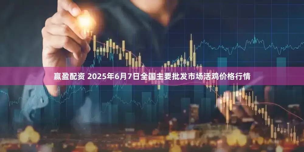 赢盈配资 2025年6月7日全国主要批发市场活鸡价格行情